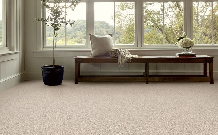 light colored carpet next to window with plant